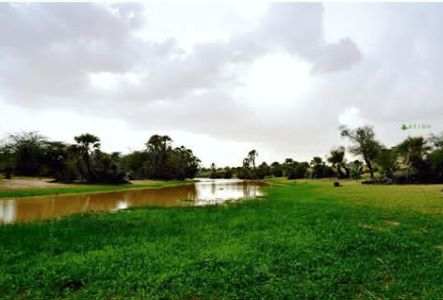 الأرصاد الجورية تسجل تساقطات مطرية على عدة مناطق من البلاد (مقاييس)