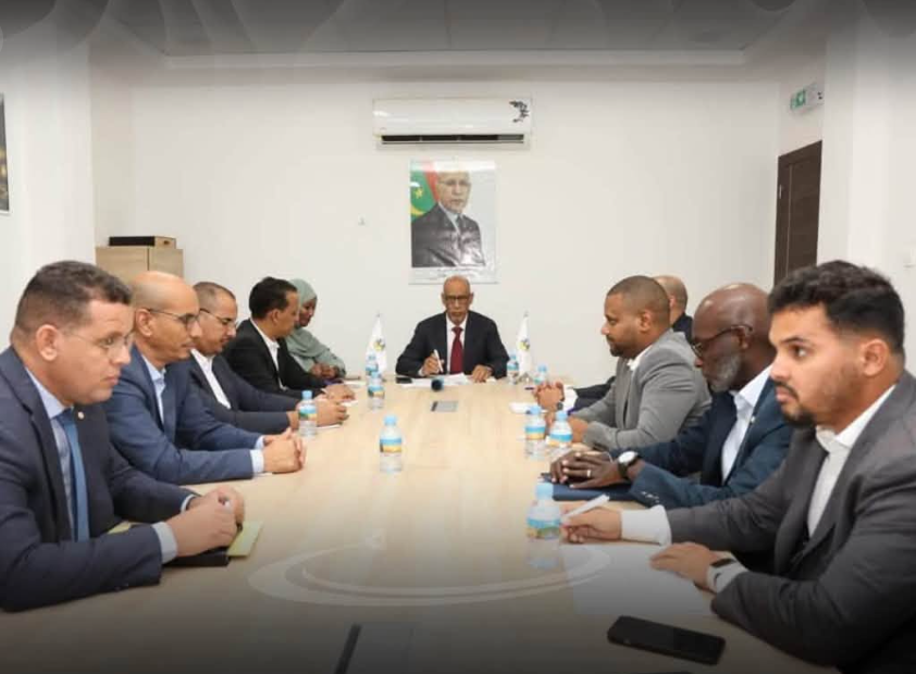مدير "معادن موريتانيا" يحث على تعزيز الأداء المؤسسي في مجال التعدين