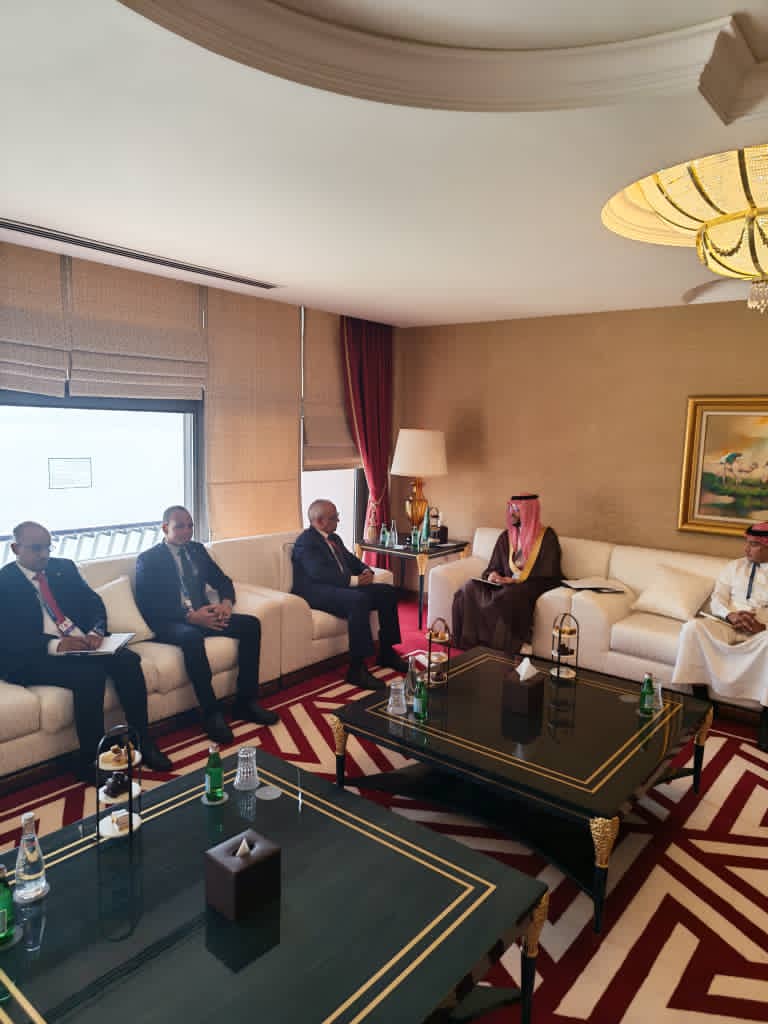وزير الشؤون الاقتصادية يجري مع نائب وزير المالية السعودي