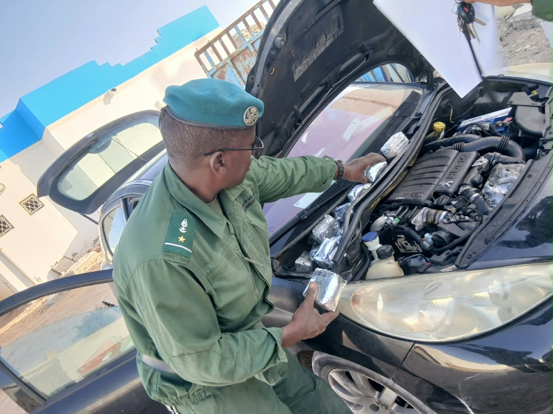 الدرك الوطني ينحج في إحباط تهريب 26 كلغ من القنب الهندي بنواذيبو