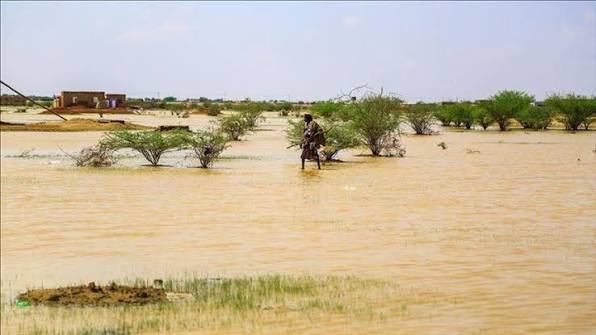 شبكة الاتصال بوزارة الداخلية ترصد تساقطات مطرية على مناطق من البلاد (مقاييس)